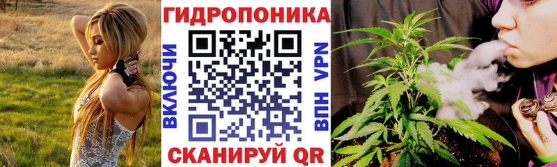 мега tor  купить закладку  Электрогорск  Конопля планчик 